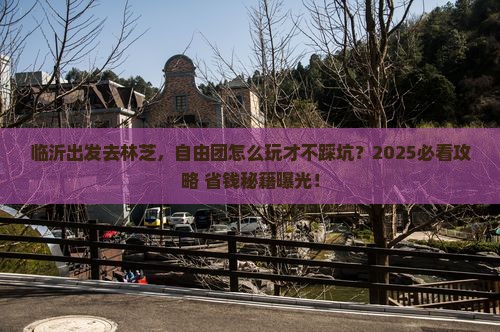 临沂去西藏林芝自由团