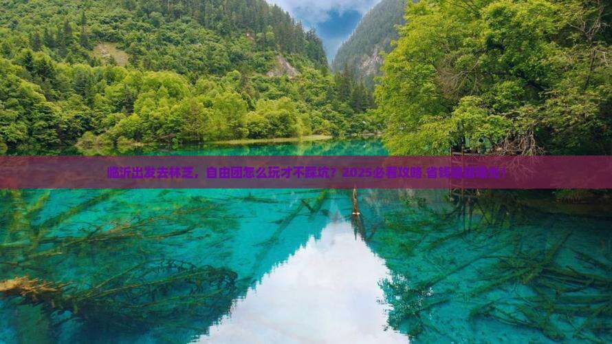 临沂去西藏林芝自由团