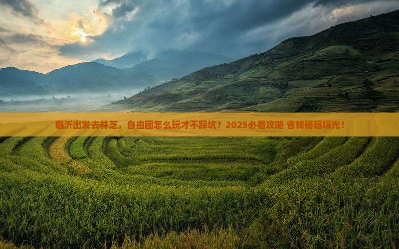 临沂去西藏林芝自由团