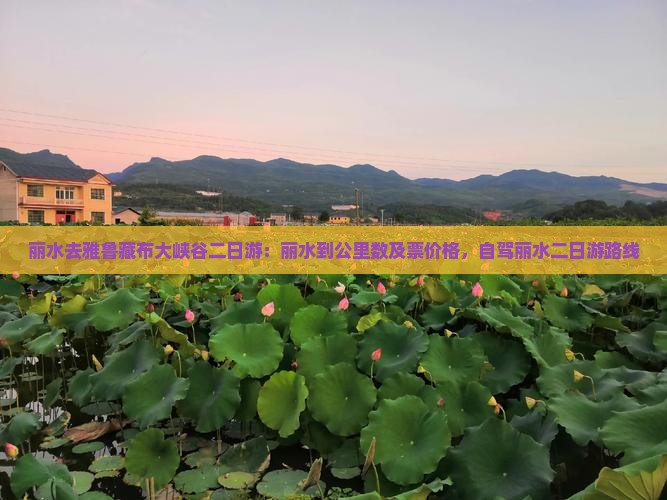 丽水去西藏雅鲁藏布大峡谷二日游