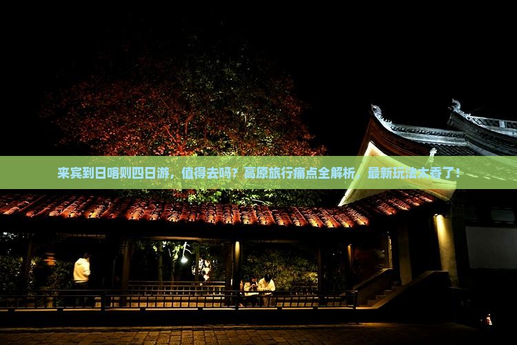 来宾到西藏日喀则四日游