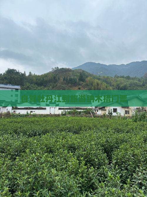 牡丹江到西藏纳木措门票