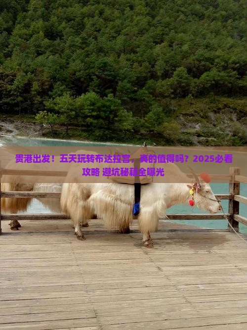 贵港到西藏布达拉宫五日游