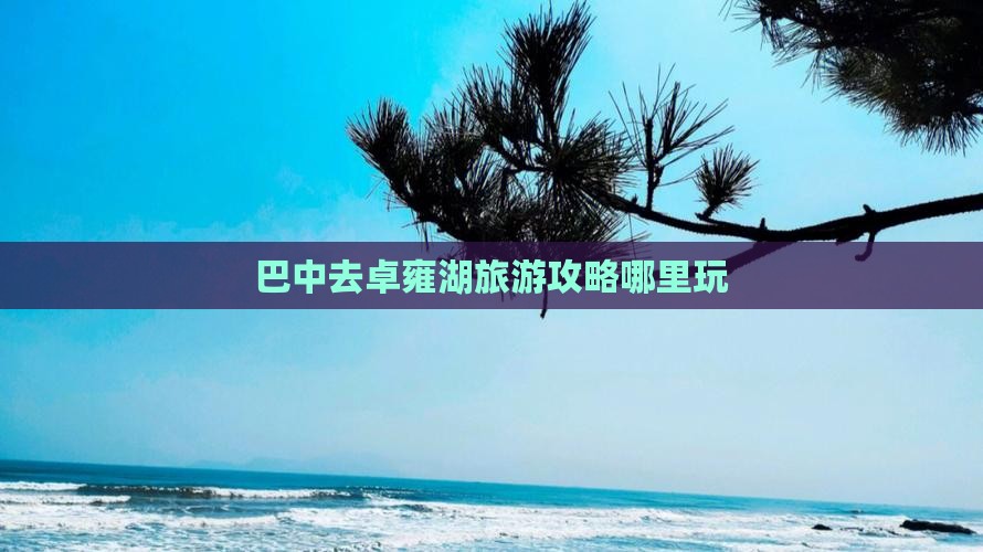 巴中去西藏羊卓雍措哪里玩