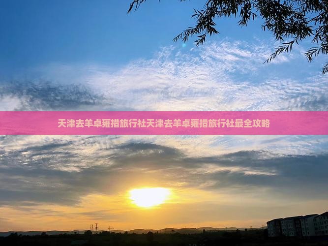 天津去西藏羊卓雍措旅行社