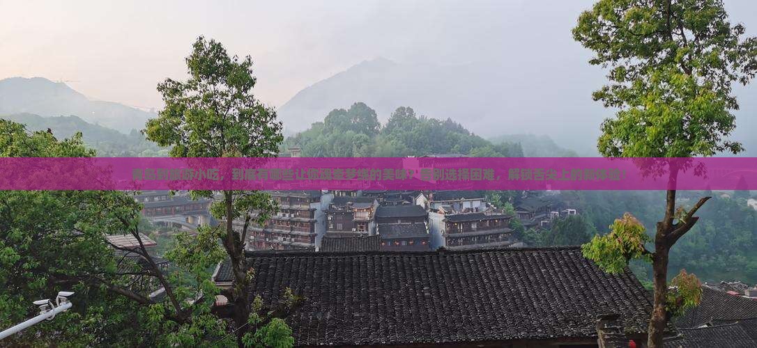 青岛到西藏旅游小吃