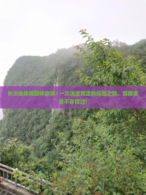 长治去西藏珠峰大本营团体旅游