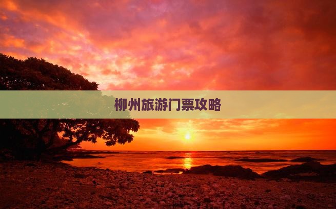 柳州去西藏门票
