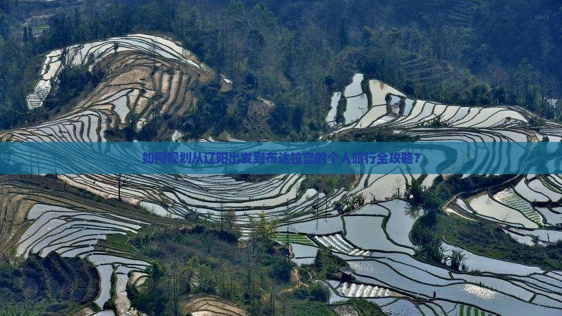 如何规划从辽阳出发到布达拉宫的个人旅行全攻略？