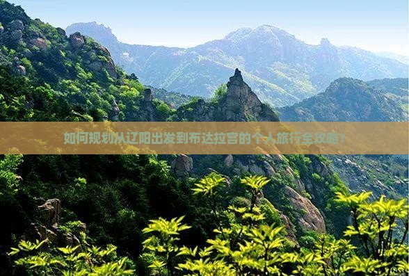 如何规划从辽阳出发到布达拉宫的个人旅行全攻略？