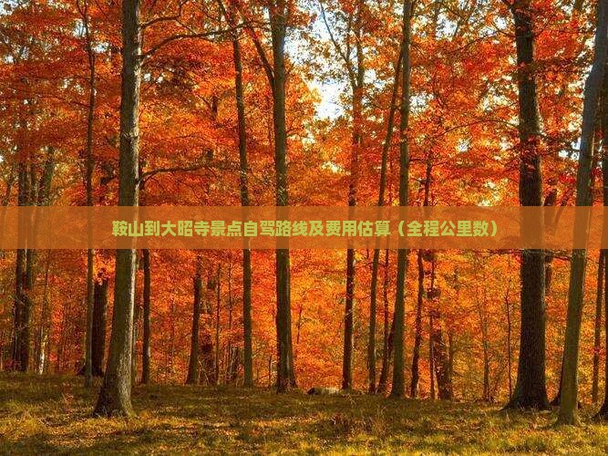 鞍山到大昭寺景点自驾路线及费用估算（全程公里数）