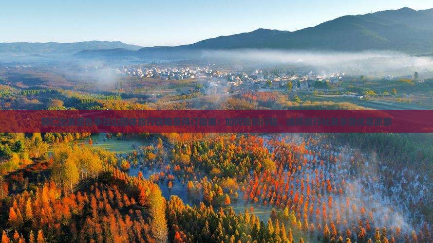 铜仁出发至色季拉山团体旅行攻略及预订指南：如何规划行程、选择旅行社及享受优惠政部
