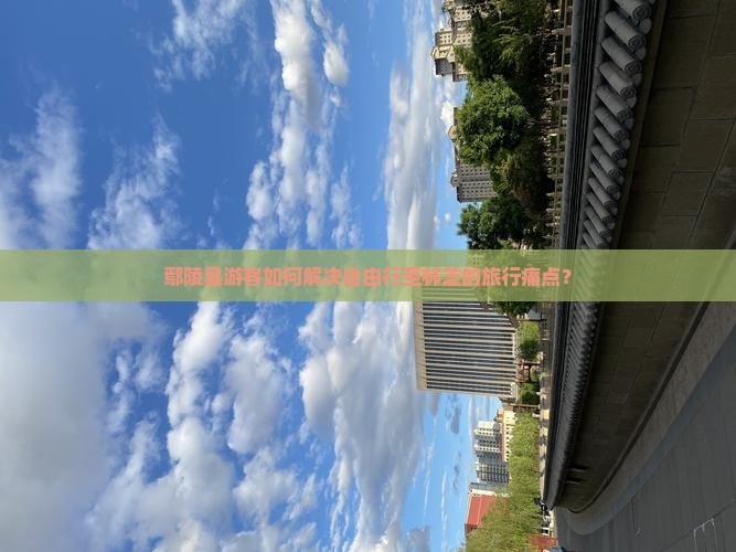 鄢陵县游客如何解决自由行至林芝的旅行痛点？