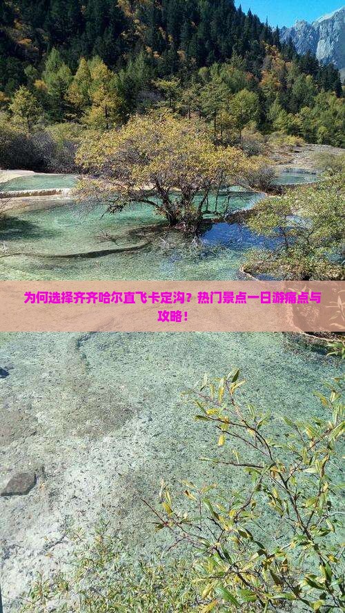 为何选择齐齐哈尔直飞卡定沟？热门景点一日游痛点与攻略！
