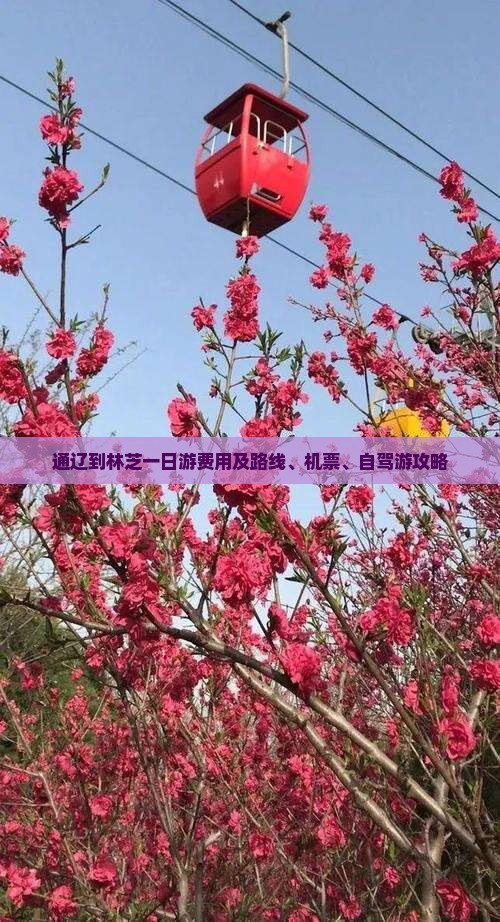 通辽到林芝一日游费用及路线、机票、自驾游攻略