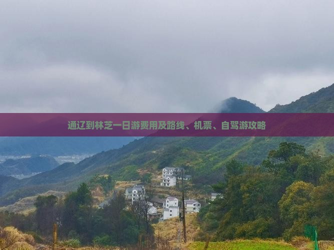 通辽到林芝一日游费用及路线、机票、自驾游攻略