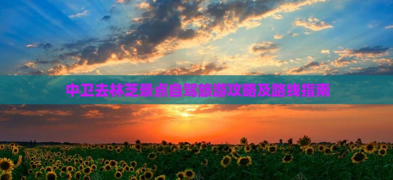 中卫去林芝景点自驾旅游攻略及路线指南
