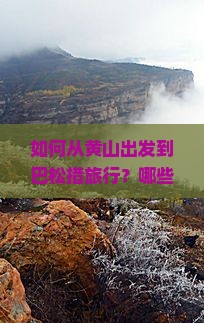 如何从黄山出发到巴松措旅行？哪些旅行社提供黄山至巴松措的旅游服务？