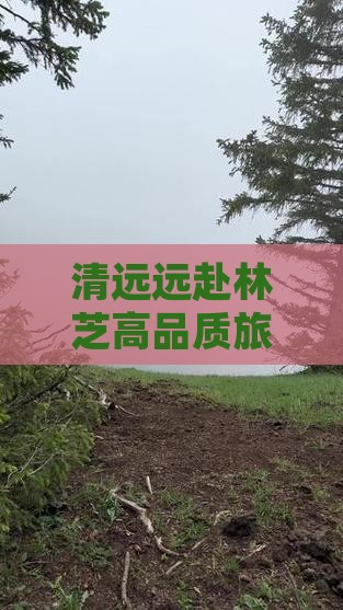 清远远赴林芝高品质旅游旅行社