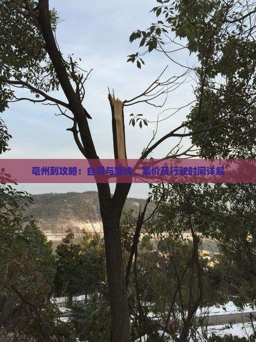 亳州到攻略：自驾与路线、票价及行驶时间详解