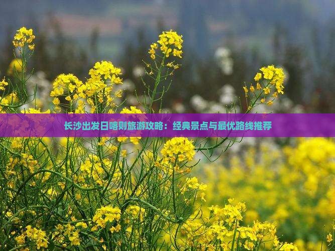 长沙出发日喀则旅游攻略：经典景点与最优路线推荐