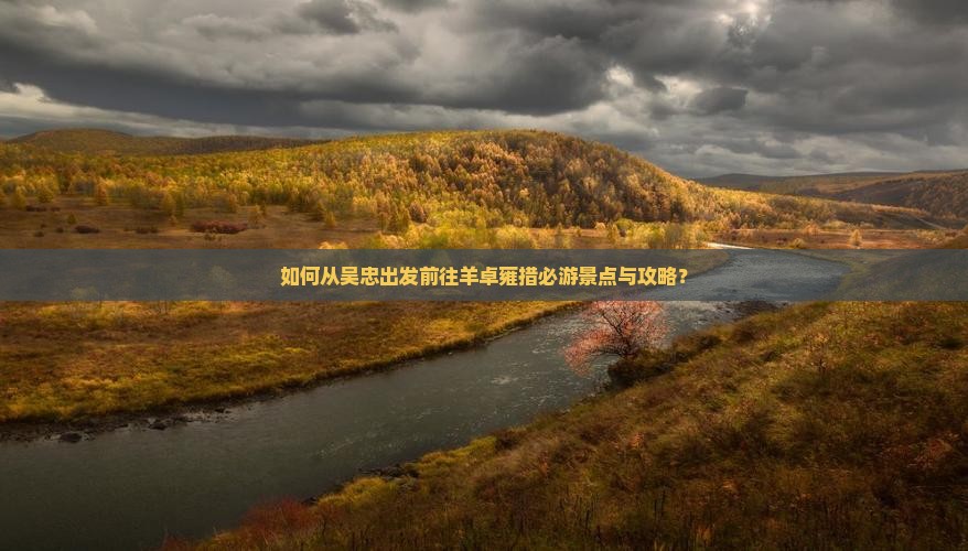 如何从吴忠出发前往羊卓雍措必游景点与攻略？