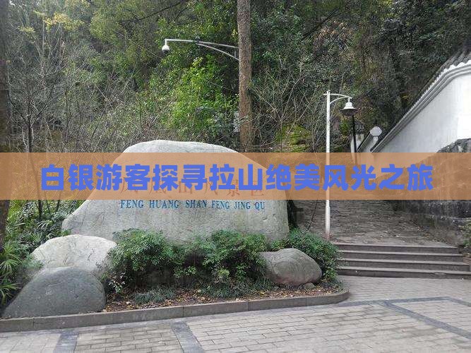 白银游客探寻拉山绝美风光之旅