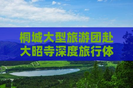 桐城大型旅游团赴大昭寺深度旅行体验