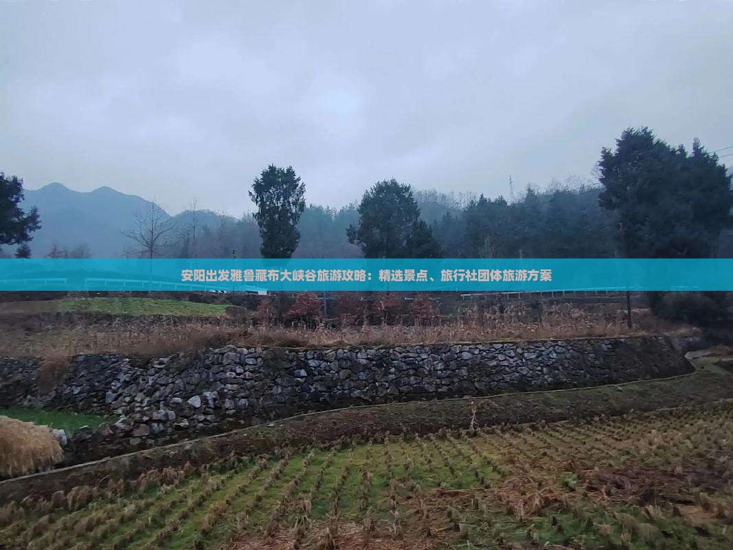 安阳出发雅鲁藏布大峡谷旅游攻略：精选景点、旅行社团体旅游方案