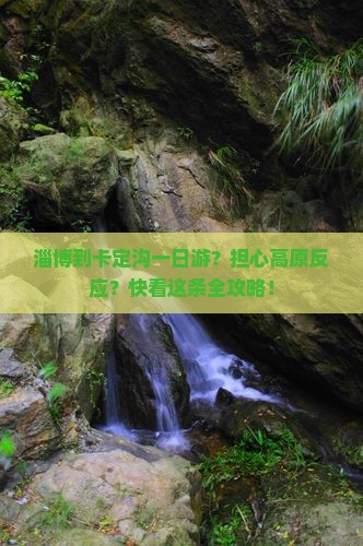 淄博到卡定沟一日游？担心高原反应？快看这条全攻略！