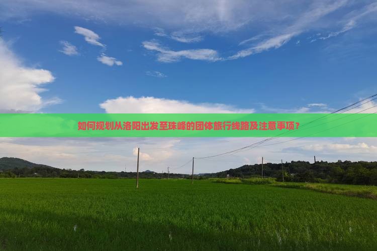 如何规划从洛阳出发至珠峰的团体旅行线路及注意事项？