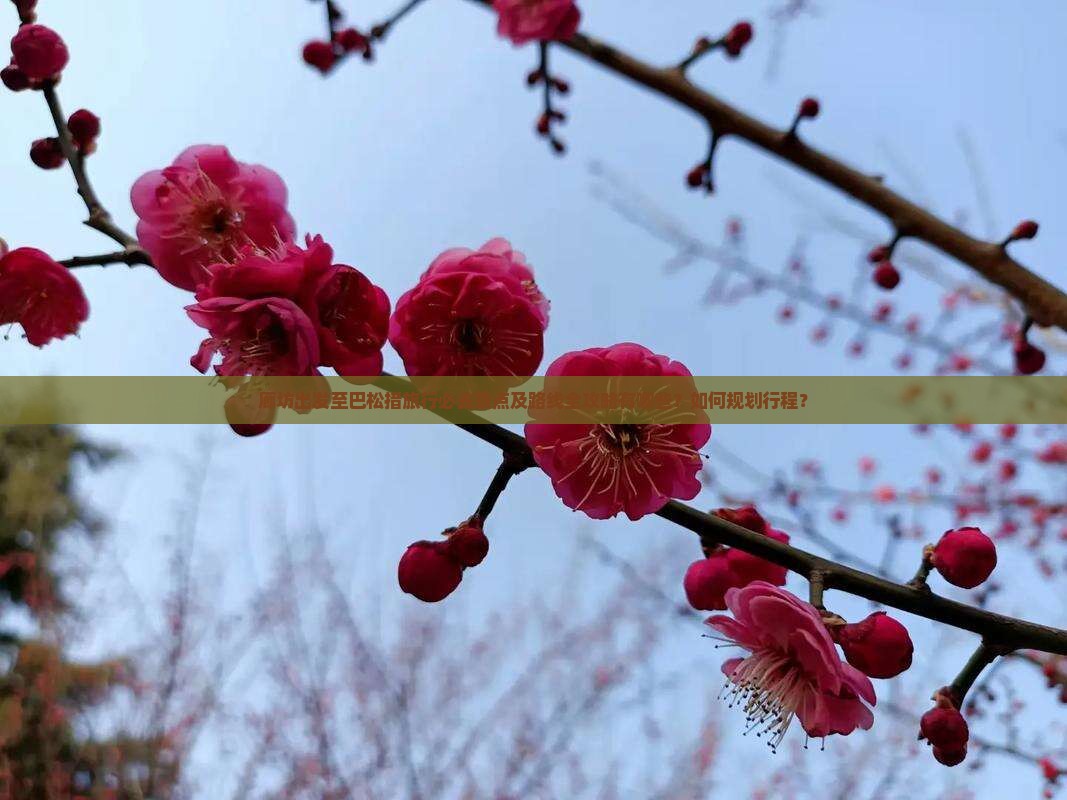 廊坊出发至巴松措旅行必去景点及路线全攻略有哪些？如何规划行程？