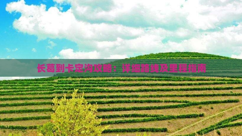 长葛到卡定沟攻略：详细路线及里程指南