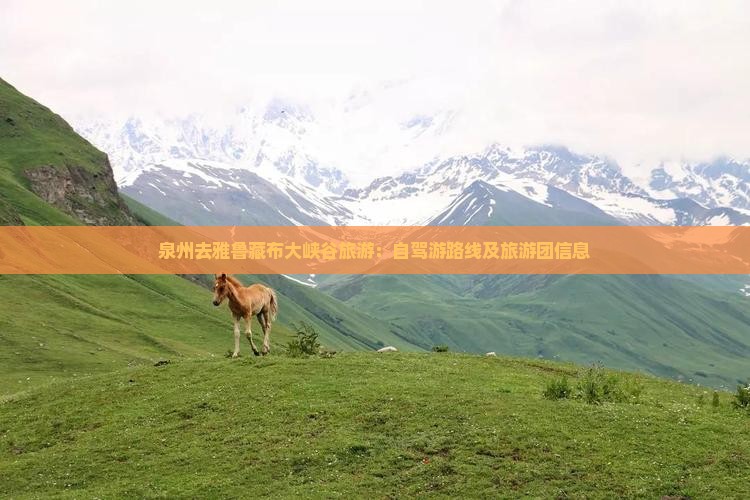泉州去雅鲁藏布大峡谷旅游：自驾游路线及旅游团信息