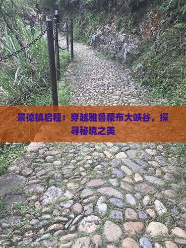 景德镇启程：穿越雅鲁藏布大峡谷，探寻秘境之美