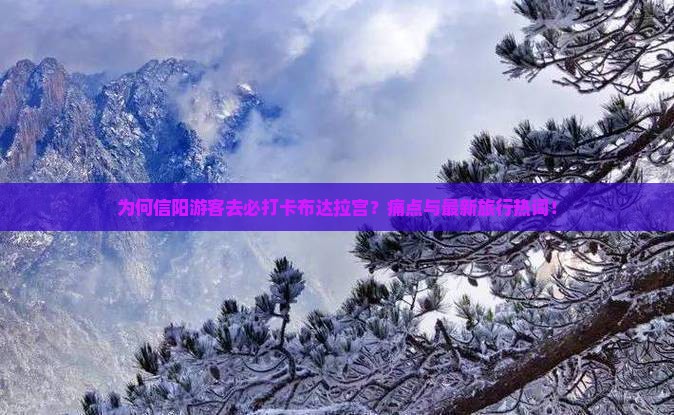 为何信阳游客去必打卡布达拉宫？痛点与最新旅行热词！