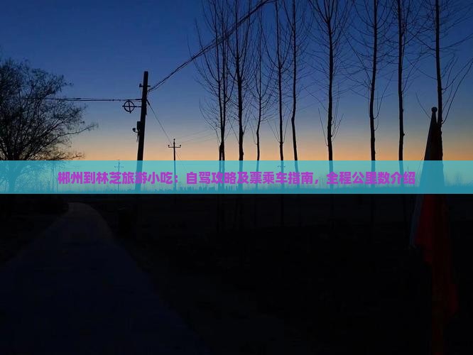 郴州到林芝旅游小吃：自驾攻略及票乘车指南，全程公里数介绍