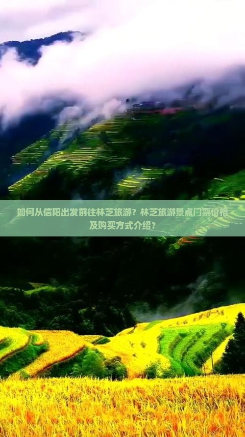 如何从信阳出发前往林芝旅游？林芝旅游景点门票价格及购买方式介绍？