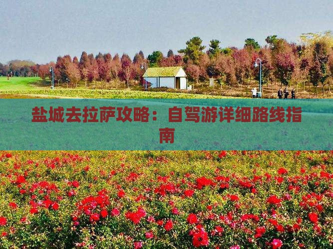 盐城去拉萨攻略：自驾游详细路线指南