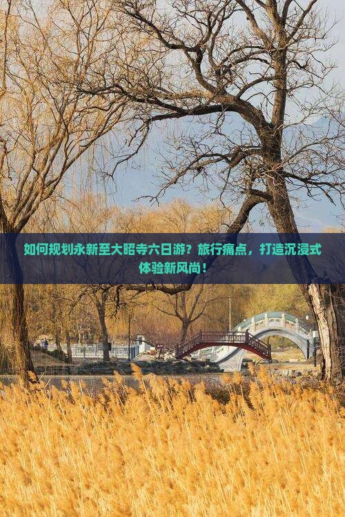 如何规划永新至大昭寺六日游？旅行痛点，打造沉浸式体验新风尚！