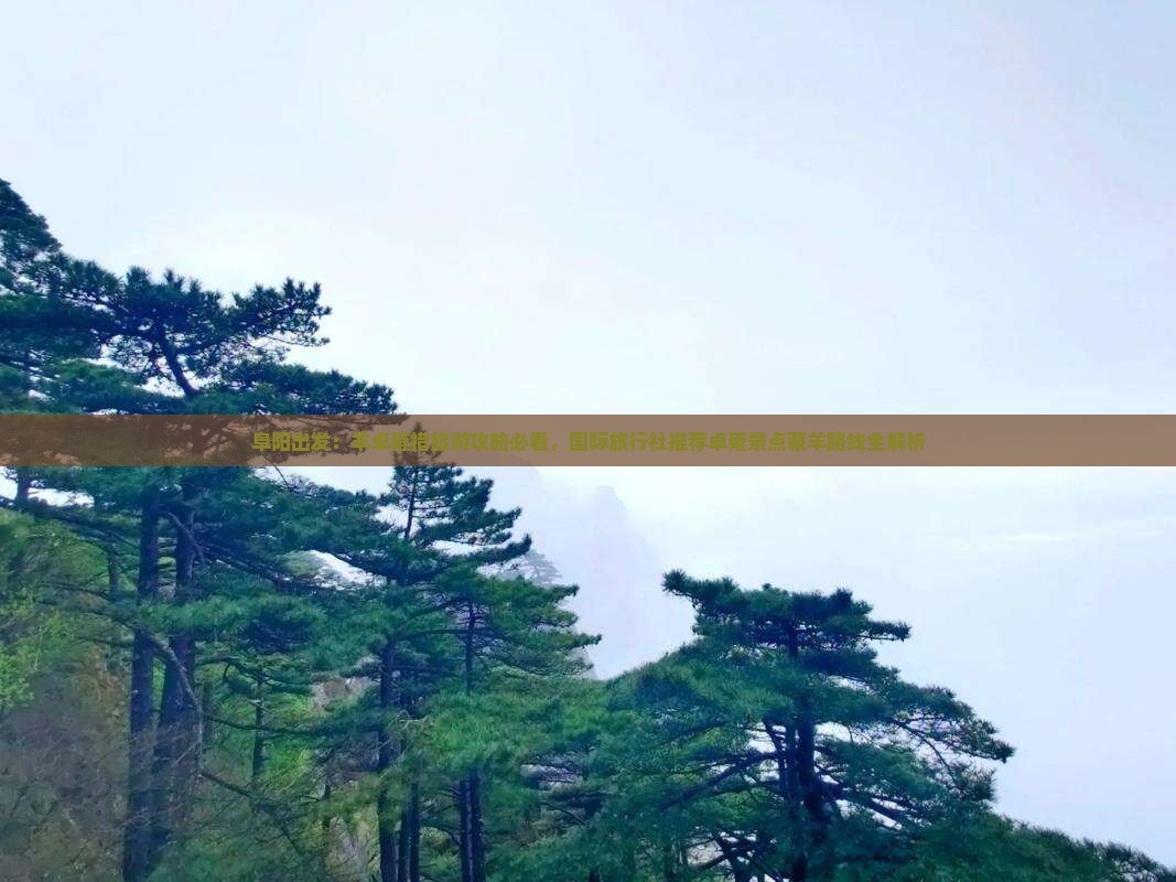 阜阳出发：羊卓雍措旅游攻略必看，国际旅行社推荐卓雍景点藏羊路线全解析