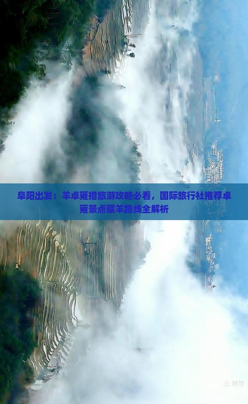 阜阳出发：羊卓雍措旅游攻略必看，国际旅行社推荐卓雍景点藏羊路线全解析