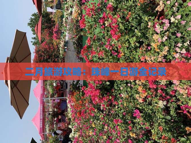 二月旅游攻略：珠峰一日游全记录