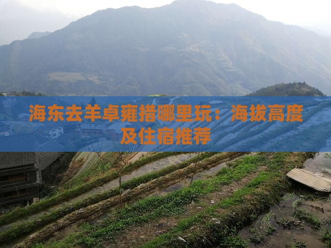海东去羊卓雍措哪里玩：海拔高度及住宿推荐