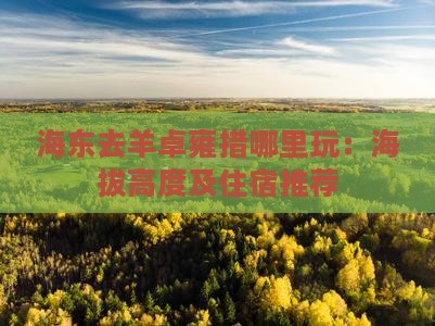 海东去羊卓雍措哪里玩：海拔高度及住宿推荐
