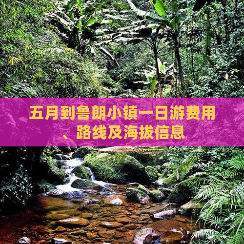 五月到鲁朗小镇一日游费用、路线及海拔信息