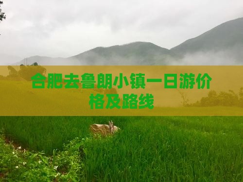 合肥去鲁朗小镇一日游价格及路线