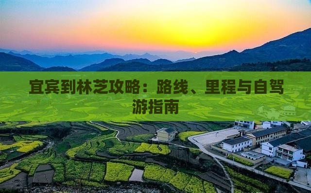 宜宾到林芝攻略：路线、里程与自驾游指南