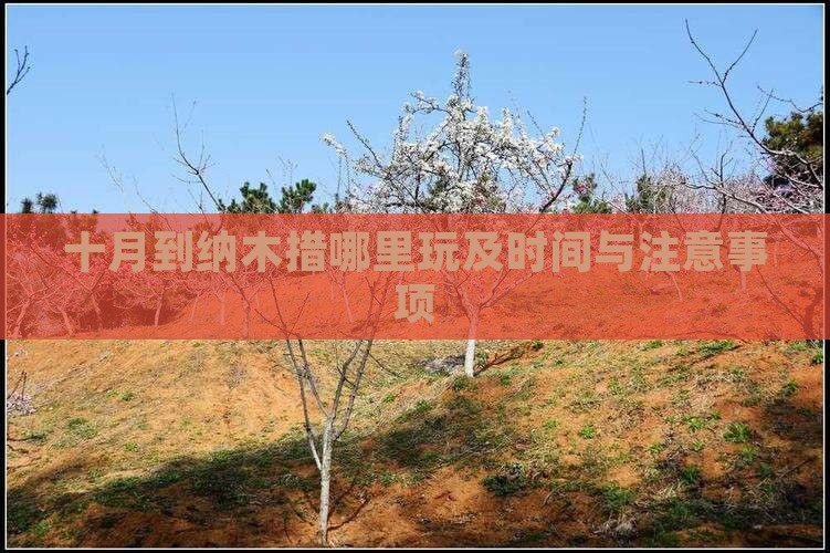 十月到纳木措哪里玩及时间与注意事项