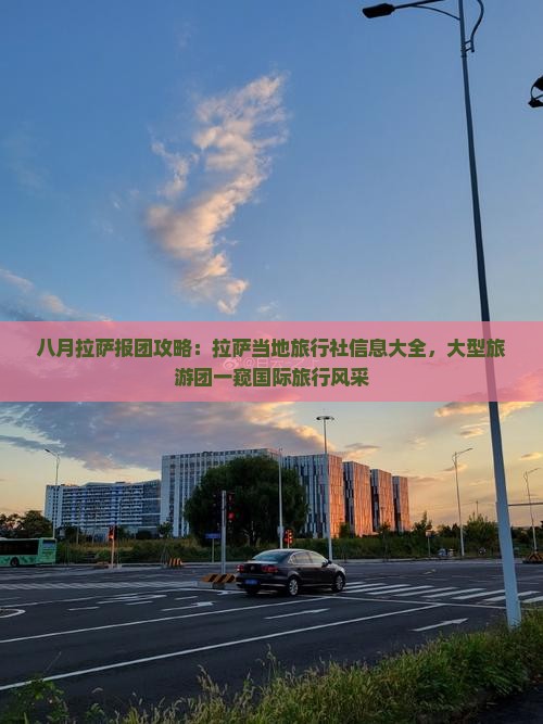 八月拉萨报团攻略：拉萨当地旅行社信息大全，大型旅游团一窥国际旅行风采